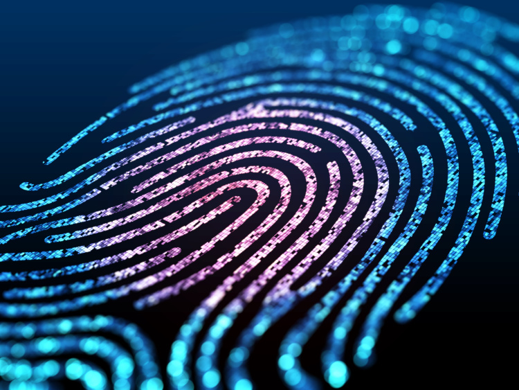 Fingerprint graphic